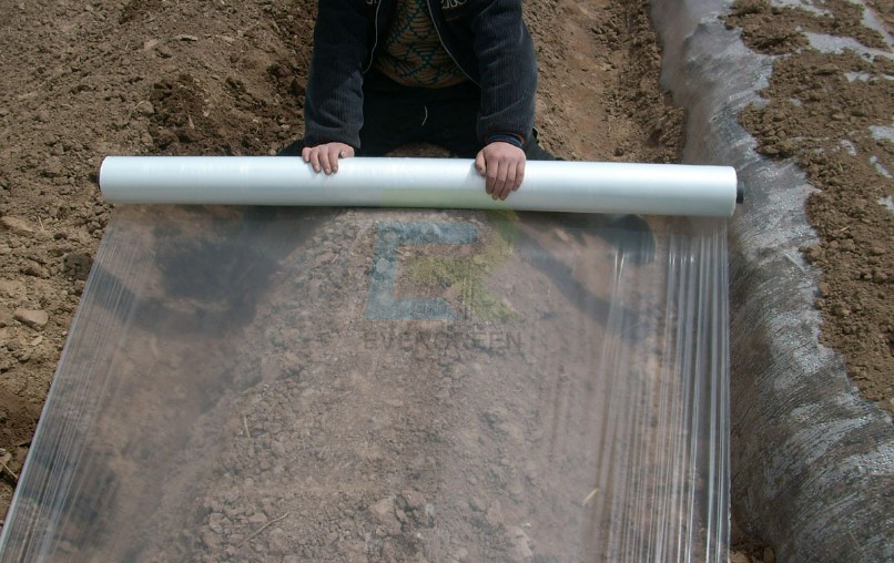 Mulch with plastic film